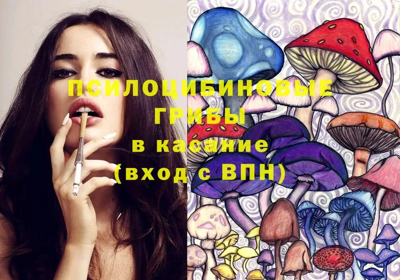 купить   Лихославль  Галлюциногенные грибы MAGIC MUSHROOMS 